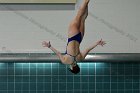 Women's Diving  Wheaton College Women’s Diving vs Mount Holyoke College. - Photo by Keith Nordstrom : Wheaton, Swimming & Diving